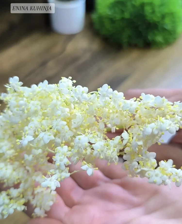 1 – Enina Kuhinja – Sirup od zove – Priprema sastojaka Enina Kuhinja - Sirup od zove - Priprema sastojaka