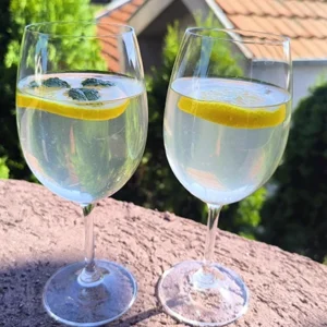 Enina Kuhinja - Sirup od zove